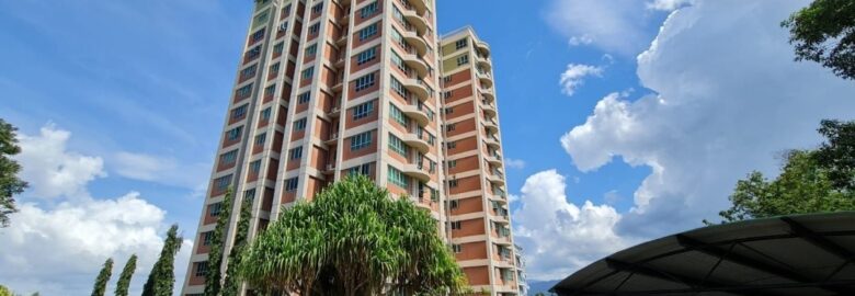 For RENT | Radiant Tower | Top Floor | Likas | Mountain View