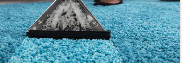 Carpet Cleaning in Oakville