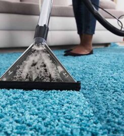 How Professional Carpet Cleaning Services Keeps Homes Safe