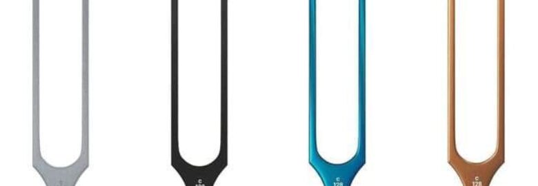 Unlocking the Power of Precision: The Rydel-Seiffer Tuning Fork in Neurology and Audiology